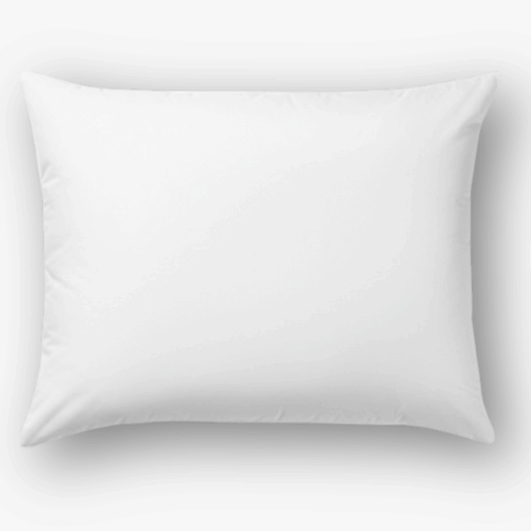 Dreamers Den Hoofdkussen Duckdown – 60×70 cm